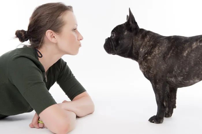 Framed Print : Woman and French Bulldog