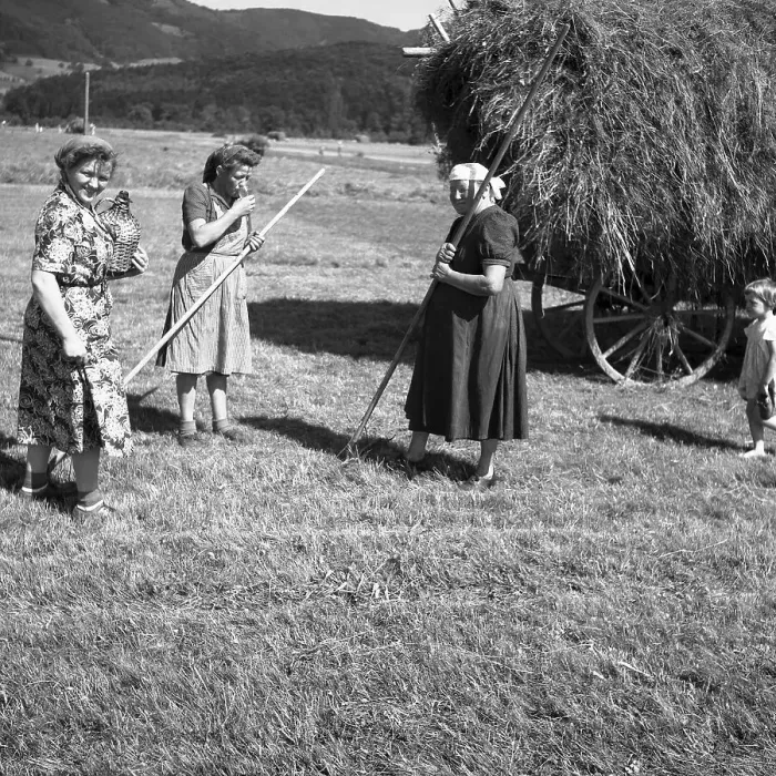 Framed Print : Woman giving water to field workers, ca Framed Print : Woman giving water to field workers, ca