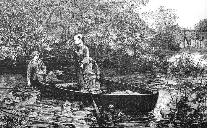 Framed Print : Two woman in a rowing boat on a pond with many water lilies