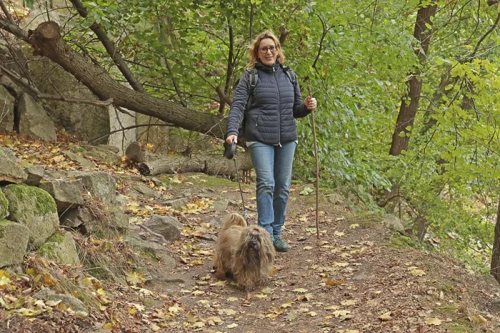 Framed Print : Woman running with dog on a forest path Framed Print : Woman running with dog on a forest path