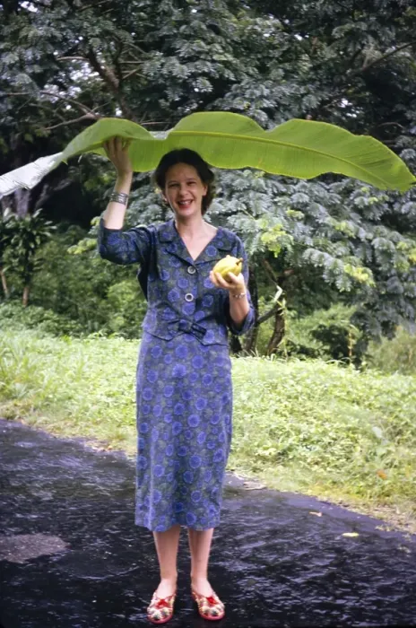 Framed Print : Woman sheltering from rain beneath large banana leaf, Trinidad 1963