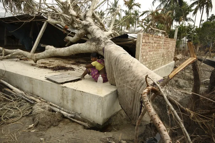 Framed Print : Woman sitting in uprooted tree in ayla cyclone