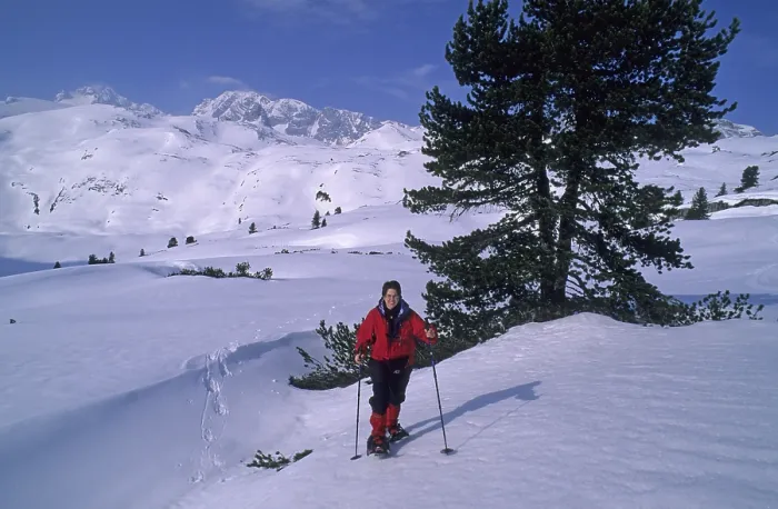 Framed Print : Woman snowshoeing in the Dachstein-area Austria