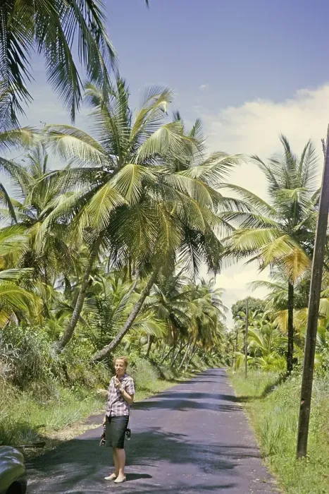 Framed Print : Woman standing on tarmac road through palm tree plantation, east cost road, Tridid 1963 Framed Print : Woman standing on tarmac road through palm tree plantation, east cost road, Tridid 1963
