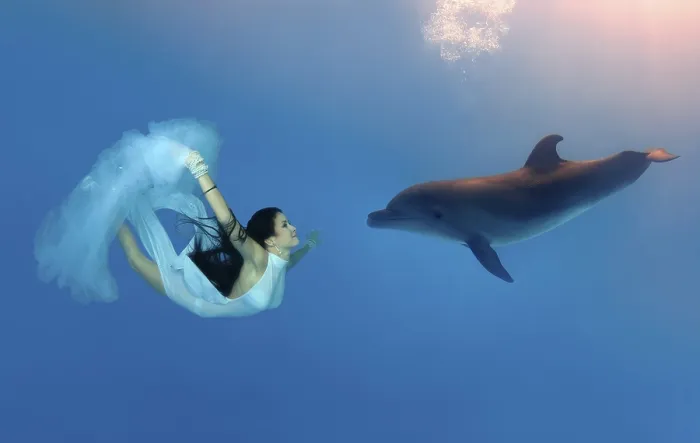 Framed Print : Woman swimming, diving with Bottlenose Dolphin (Tursiops truncatus) Framed Print : Woman swimming, diving with Bottlenose Dolphin (Tursiops truncatus)