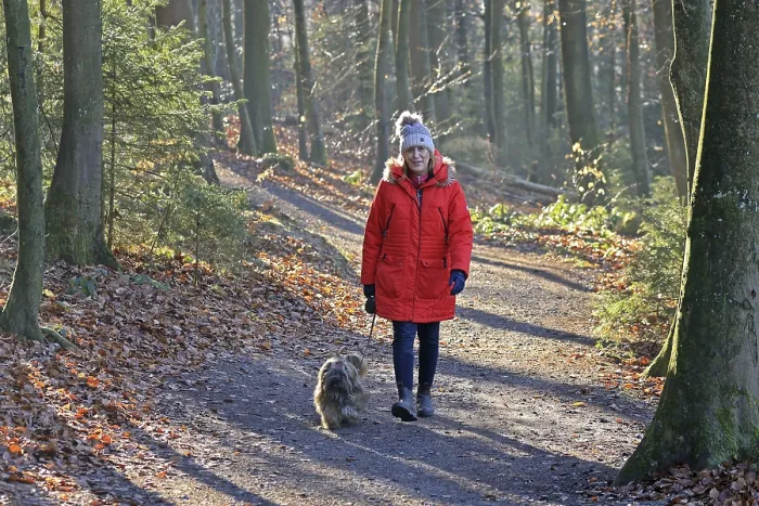 Framed Print : Woman walking through the winter forest with dog
