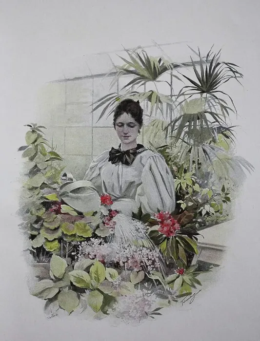 Framed Print : Woman Watering Flowers in a Greenhouse Framed Print : Woman Watering Flowers in a Greenhouse