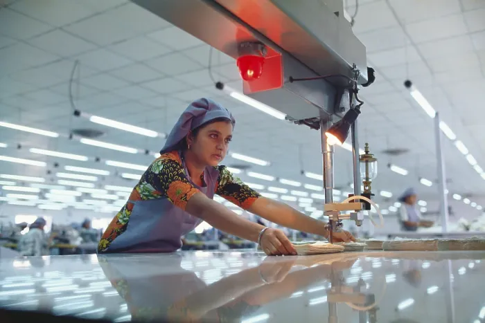 Framed Print : Woman working in factory, india