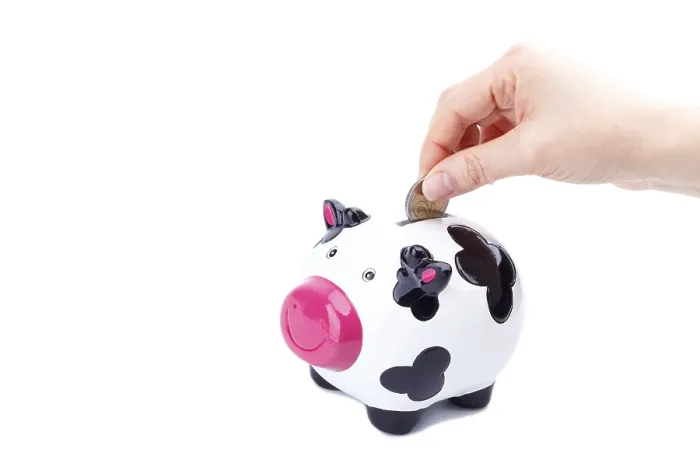Framed Print : Woman's hand putting a coin in piggy bank Woman's hand putting a coin in piggy bank Framed Print : Woman's hand putting a coin in piggy bank Woman's hand putting a coin in piggy bank