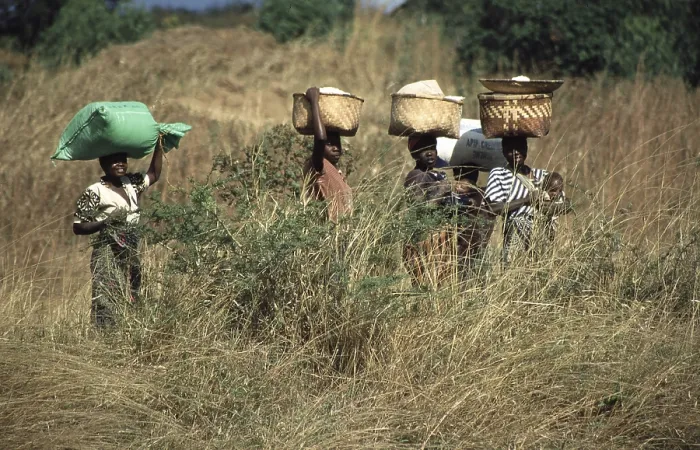 Framed Print : Women balancing baskets on their heads