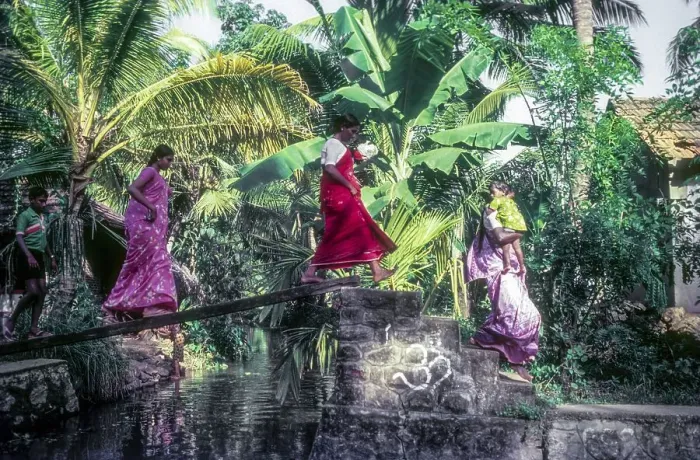 Framed Print : Women crossing Backwaters of Kerala through small wooden plank