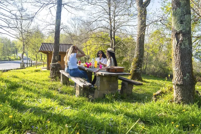 Framed Print : Three women enjoying a picnic lunch and drinks on a sunny day in a forest park