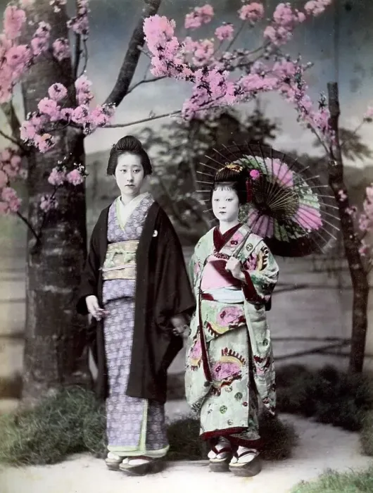 Framed Print : Two women, Japan, Asia