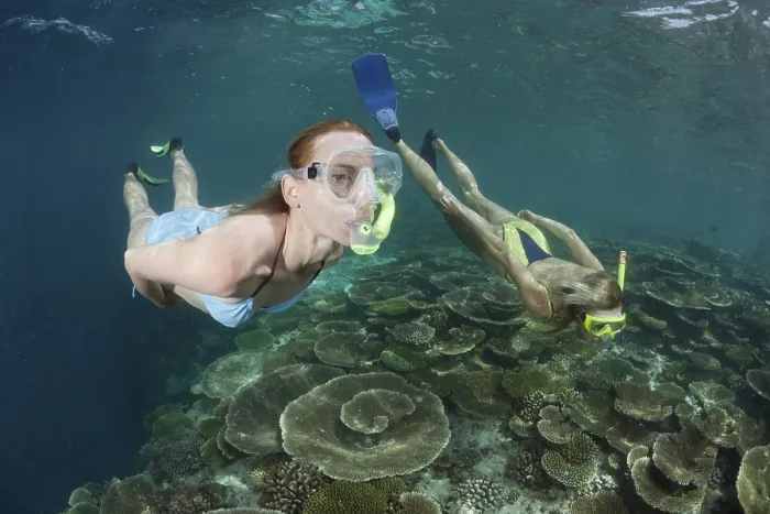 Framed Print : Women snorkelling over reef, Ellaidhoo house reef