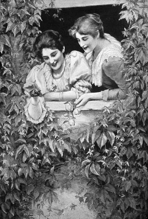 Framed Print : Two women in a window surrounded by a bush looking towards the street