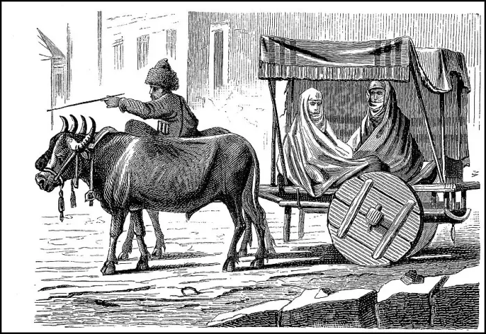 Framed Print : Women's Chariot from the Caucasus Framed Print : Women's Chariot from the Caucasus