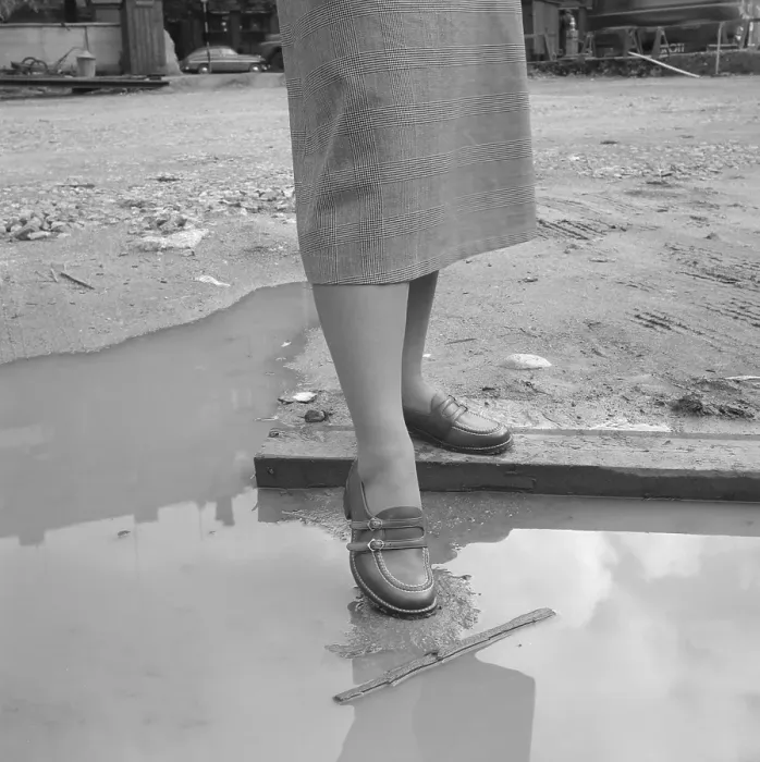 Framed Print : Women's fashion in the 1950s Framed Print : Women's fashion in the 1950s