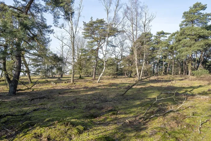 Framed Print : Part of a wonderful landscape with trees and meadow