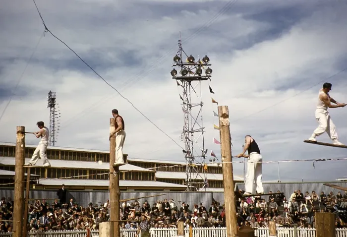 Framed Print : Wood chopping competition, Royal Melbourne Show, Ascot Vale, Melbourne, Victoria, Australia 1956