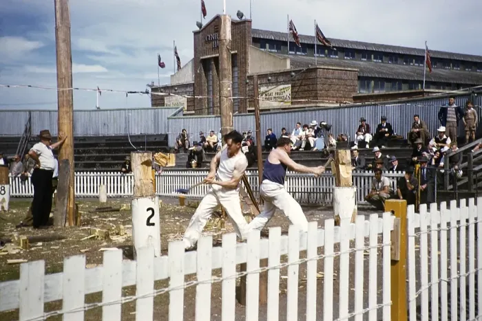 Framed Print : Wood chopping competition, Royal Melbourne Show, Ascot Vale, Melbourne, Victoria, Australia 1956