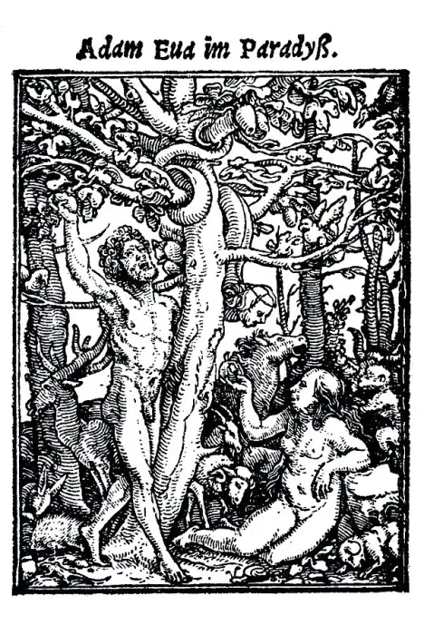 Framed Print : Woodcut, Adam and Eve in Paradise Framed Print : Woodcut, Adam and Eve in Paradise