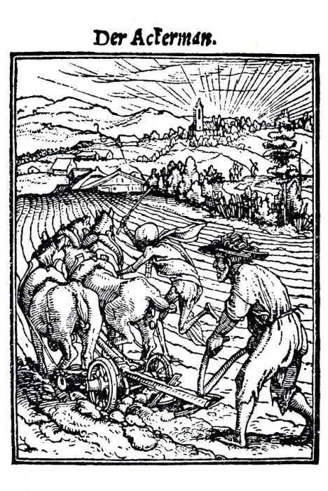 Framed Print : Woodcut, The Farmer, Hans Holbein the Younger Framed Print : Woodcut, The Farmer, Hans Holbein the Younger