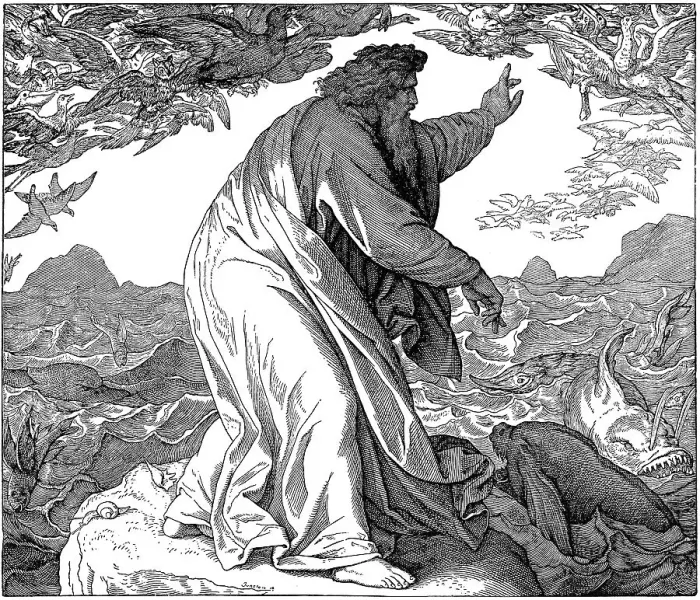 Framed Print : Woodcut, God, the fifth day of creation Framed Print : Woodcut, God, the fifth day of creation