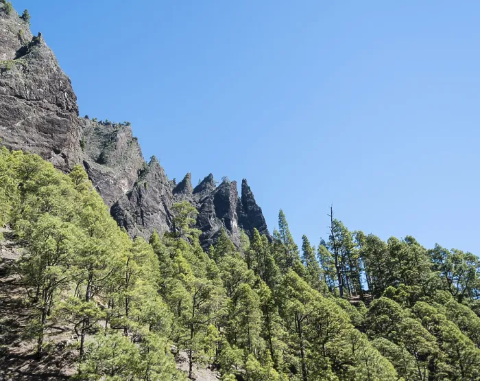 Framed Print : Wooded cliff, Caldera de Taburiente National Park Framed Print : Wooded cliff, Caldera de Taburiente National Park
