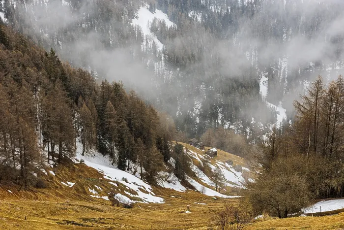 Framed Print : Wooded steep slope with snow remains and alpine huts