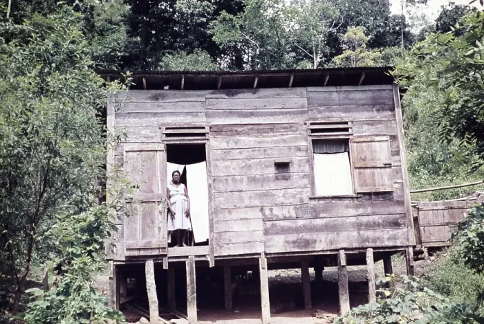 Framed Print : Wooden hut on cocoa farm with woman standing in doorway, Trinidad and Tobago 1961-1963