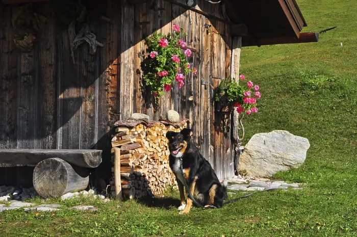 Framed Print : Wooden hut, Isar valley, Bavaria