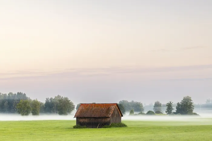 Framed Print : Wooden hut in wet meadow, fog, birch