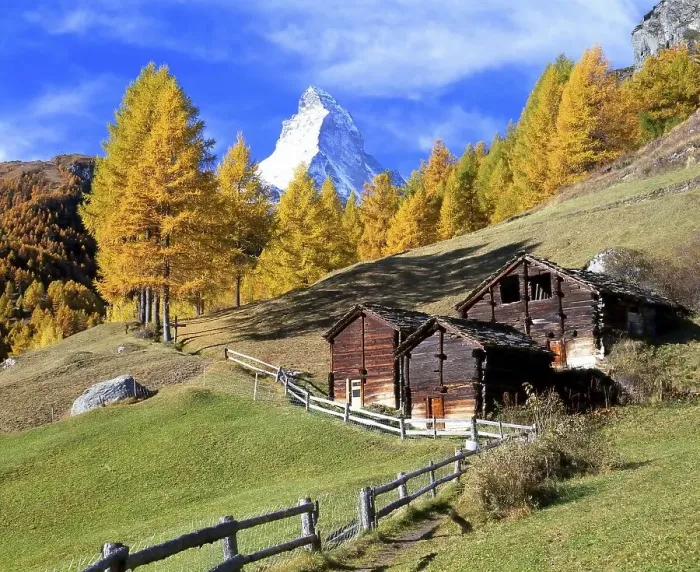 Framed Print : Wooden huts in front of larch trees with autumnal foliage and Mt Matterhorn Framed Print : Wooden huts in front of larch trees with autumnal foliage and Mt Matterhorn