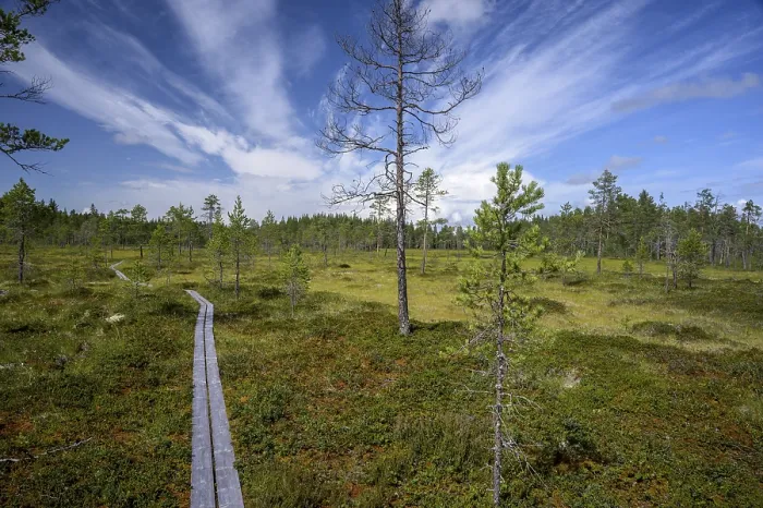 Framed Print : A wooden path snakes through an open moor landscape under dramatic skies