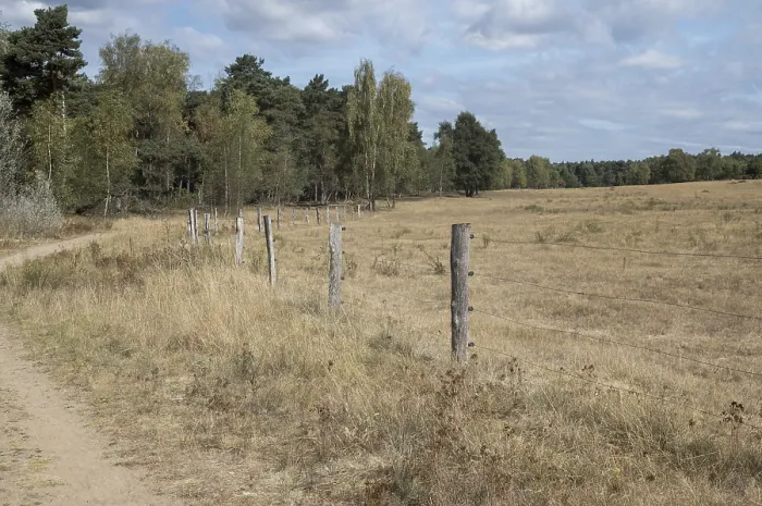 Framed Print : Wooden posts with barbed wire separate a hiking trail from a dry meadow in borken