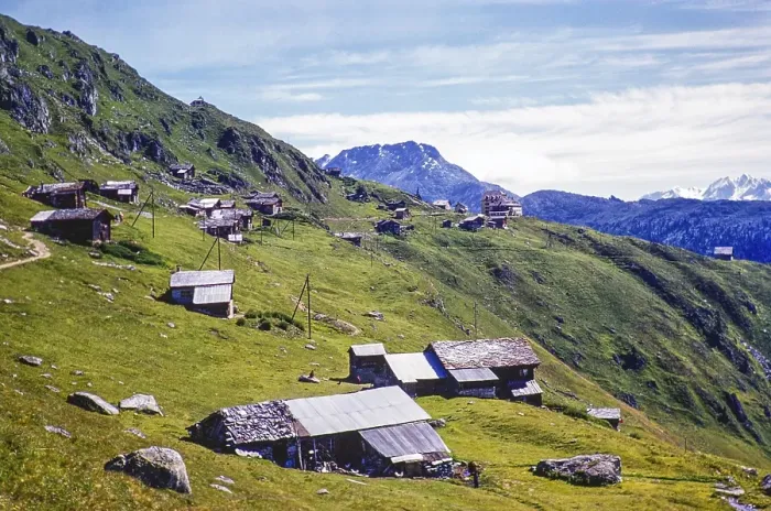 Framed Print : Wooden summer log cabins view hotel, Belalp, Bernese Alps, Switzerland, Europe around 1960, Europe Framed Print : Wooden summer log cabins view hotel, Belalp, Bernese Alps, Switzerland, Europe around 1960, Europe