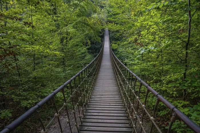 Framed Print : Wooden suspension bridge over a gorge