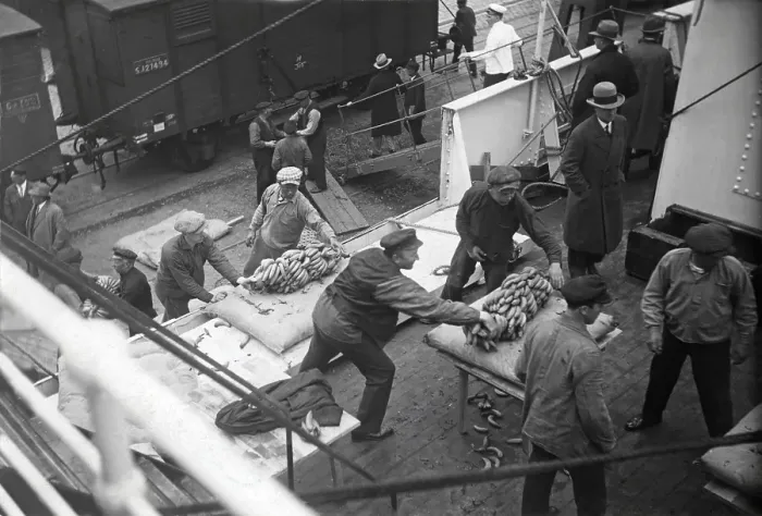 Framed Print : Workers at the docks. Men in Gothenburg harbor unloading bananas from a ship that just has arrived from the West Indies Framed Print : Workers at the docks. Men in Gothenburg harbor unloading bananas from a ship that just has arrived from the West Indies