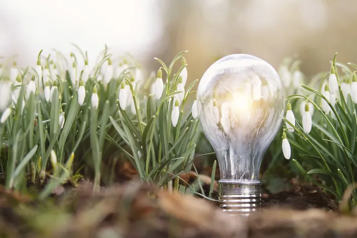 Framed Print : World earth hour, light bulb stands on a meadow with snowdrop flowers