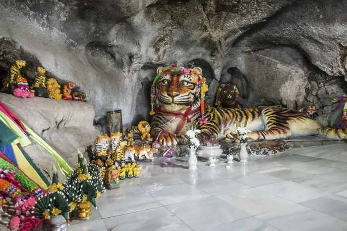 Framed Print : Worship of a tiger sculpture in the Tiger Cave