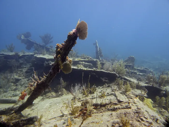 Framed Print : Wreck of the Benwood. Dive site John Pennekamp Coral Reef State Park