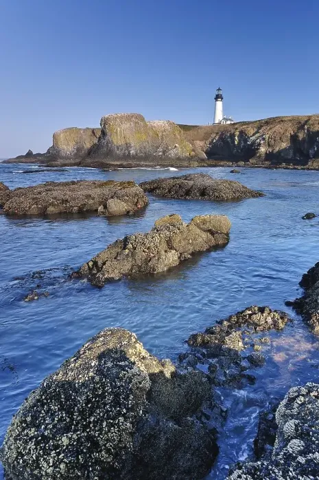Framed Print : Yaquina Bay lighthouse, Newport Framed Print : Yaquina Bay lighthouse, Newport