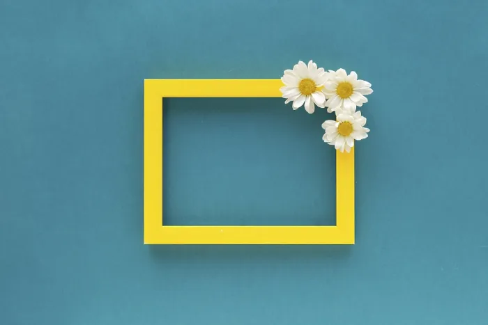 Framed Print : Yellow border blank photo frame decorated with white daisy flowers blue background Framed Print : Yellow border blank photo frame decorated with white daisy flowers blue background