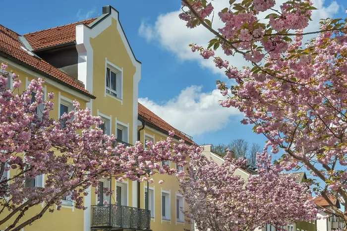 Framed Print : Yellow gable facade and early ornamental cherry Accolade (Prunus subhirtella) Framed Print : Yellow gable facade and early ornamental cherry Accolade (Prunus subhirtella)