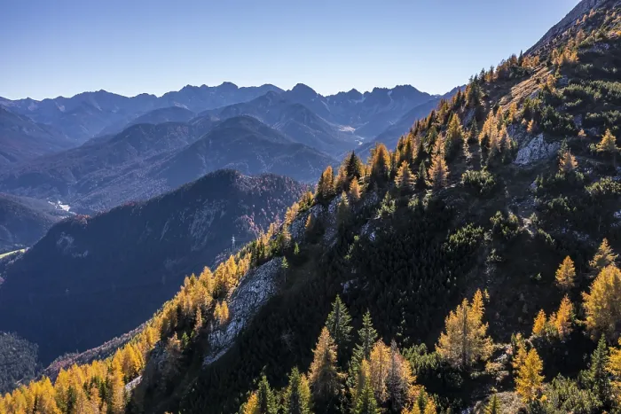 Framed Print : Yellow larches, autumn, Wetterstein Mountains