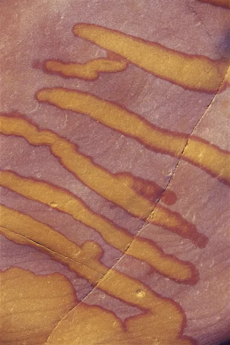 Framed Print : Yellow Patches on Red Rock Look like Brush Strokes