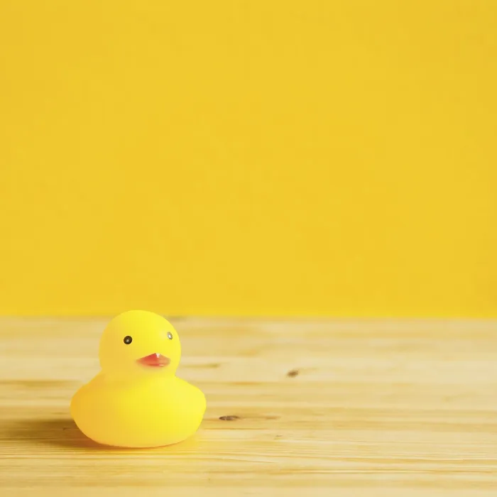 Framed Print : Yellow rubber duck doll on wooden table