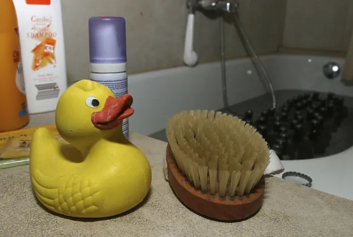 Framed Print : Yellow screech-duck with a handbrush at the edge of a bathtub