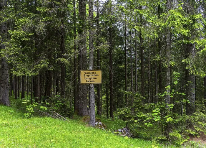 Framed Print : Yellow sign in the forest, ski area at the Goetschen Alm