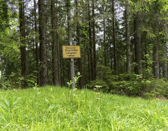 Framed Print : Yellow sign in the forest, ski area at the Goetschen Alm